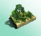 3D cubical beautiful forest land with rainforest trees. 3d rendering of green forest on piece of land