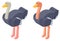 3D design for ostrich birds