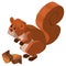 3D design for squirrel and walnut