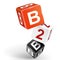 3d dice illustration with word B2B