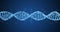 3D DNA Strand Rotation with Amino Acids