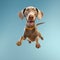 3d Dog Flying In John Wilhelm Style - Uhd Image With Photorealistic Accuracy And Lively Facial Expressions