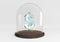 3D dollar sign crystal protected under a glass dome