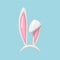 3d Easter bunny ears. Rabbit ears realistic 3d vector illustration. Hare costume white and pink element.