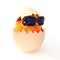 3d Easter chick hatches wearing sunglasses