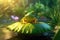 3D effect of cute frog squatting on the lotus leaf and croaking animation style