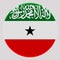 3D Flag of Somaliland on circle