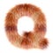 3d Fox cartoon funny creative fur letter Q