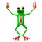 3D frog - hands up