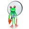 3D frog with magnifying glass