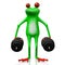 3D frog - weightlifting