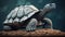 3d Galapagos Tortoise Render In Henry Moore Style