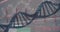 3D genes diagram on darkred background