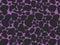 3D Giraffe or cow purple print camouflage texture, carpet animal skin patterns or backgrounds, black purple violet cheetah theme,