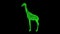 3D giraffe rotates on black background. Object made of shimmering particles. Wild animals concept. Protection of the