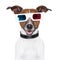 3d glasses movie cinema dog