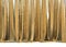 3D Gold curtains