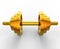 3d gold dumbbell isolated on background with clipping path.