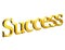 3D Gold Word Success on white background