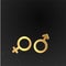 3d golden realistic gender women and man symbols, with flying geometric figures creative design of female and male metallic signs