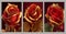 3d golden red flowers wall art majestic ruby red rose, golden background, magical