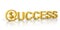 3D golden success text and money