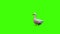 3D Goose bird walking entering the left side and outing on the right side