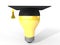 3d graduation hat and light bulb