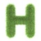 3d Grass creative cartoon nature decorative letter H