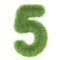 3d Grass creative cartoon nature decorative number 5