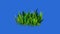 3d grass rotates on on blue screen