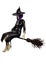 3D Green skinned witch with broom