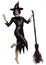 3D Green skinned witch with broom
