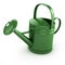 3d Green watering can