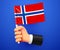 3d hand holding Norway National flag