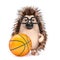 3d Hedgehog plays basketball