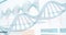 3D Helix diagram of DNA