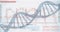 3D Helix diagram of DNA