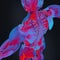 3D human anatomy thermal scan