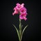 3d Hyperrealistic Gladiolus Flower In Magenta