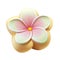 3d icon cute The flower of plumeria summer tropical Cartoon sweet character on Isolated Transparent png background. Generative ai