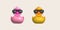 3d icon.Rubber duck wearing black glasses or ducky bath toy flat. Cute rubber floating for children