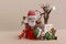 3D Illustration , 3d rendering . Santa Claus With Elfs  On Happy New Year Greeting Card Holiday Concept