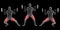 3d illustration of barbell lateral lunges
