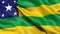 3D illustration of the Brazilian state flag of Sergipe waving in the wind