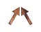 3D illustration, brown color hard wood plank ARROW isolated design element