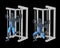 3D Illustration Of Bulgarian Split Squat at the Multipower