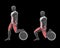 3d illustration of bulgarian squat fitball