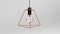 3D illustration of cage wire Edison lamp