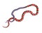 3D Illustration of a California King Snake Swallowing a Blue Red Snake